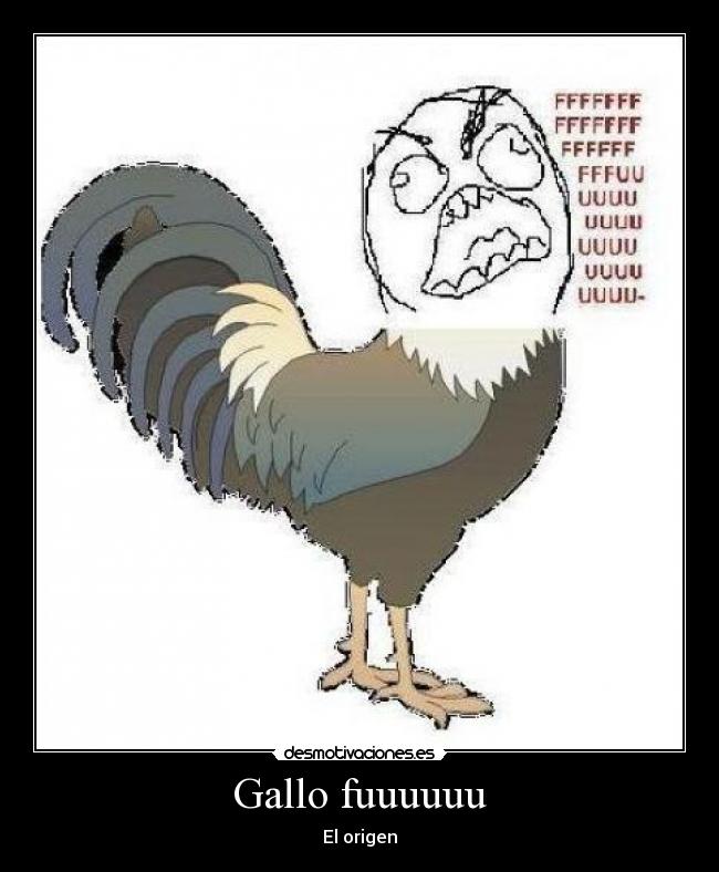 Gallo fuuuuuu - El origen