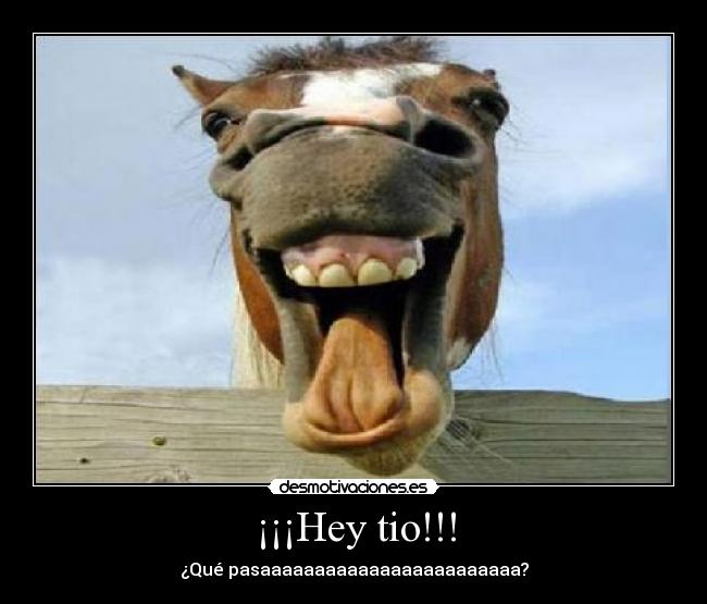 ¡¡¡Hey tio!!! -