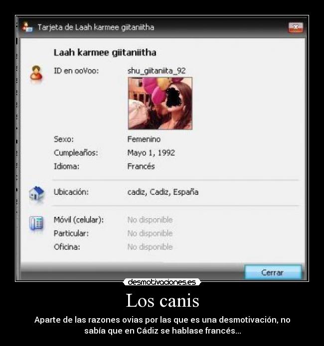 carteles canis desmotivaciones