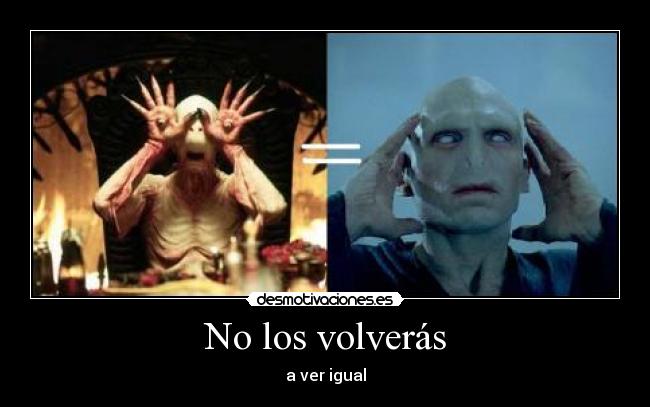 No los volverás -