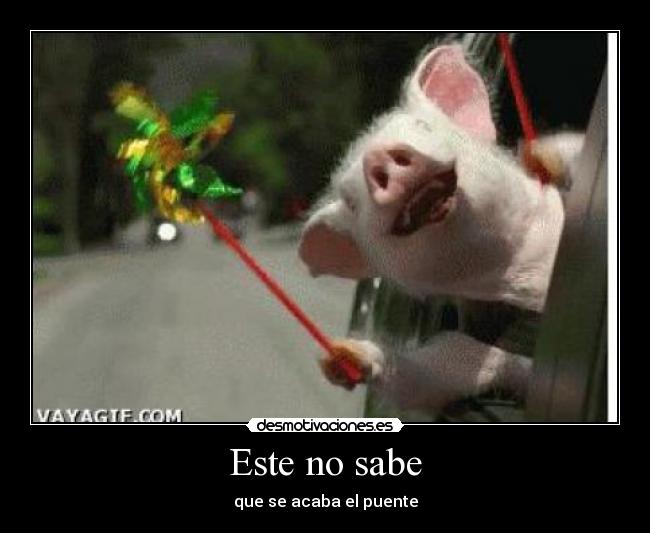 Este no sabe -
