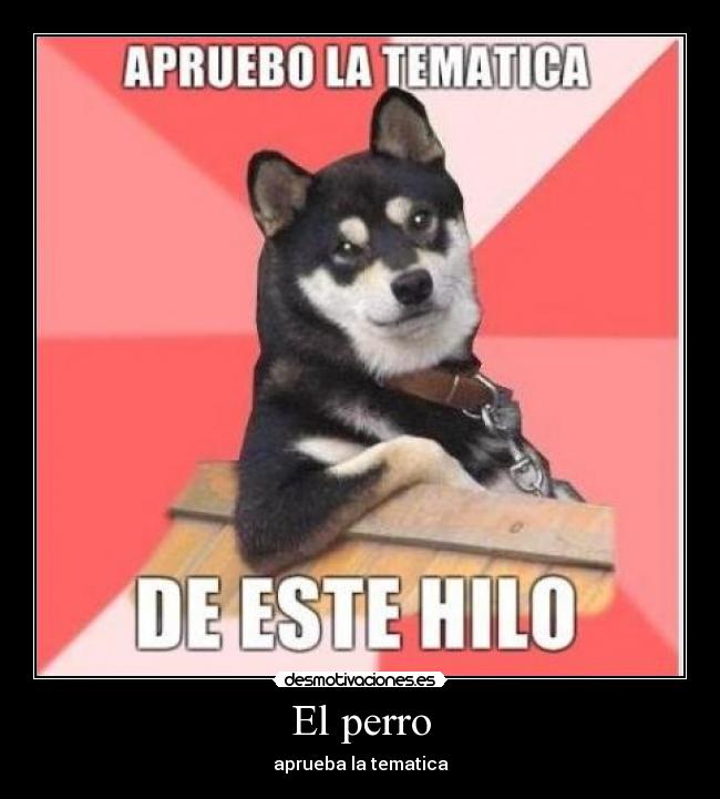 El perro - aprueba la tematica
