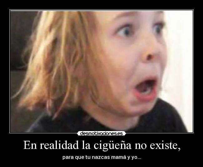 En realidad la cigüeña no existe, -