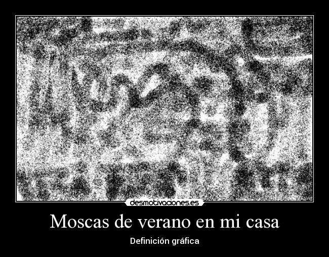 Moscas de verano en mi casa -