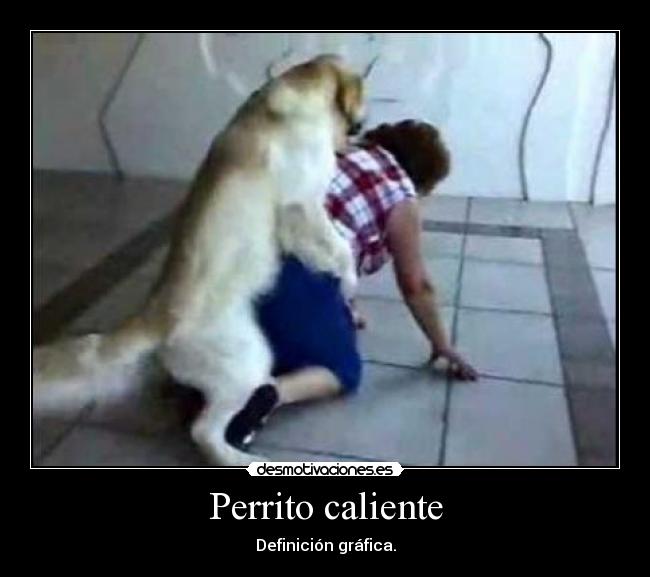 Perrito caliente -