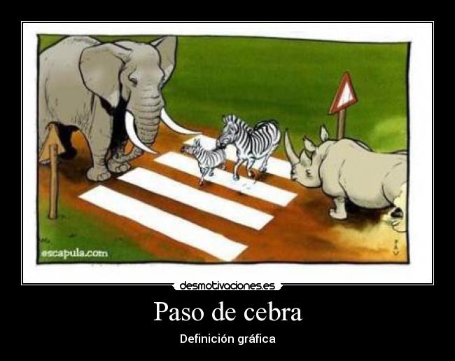 Paso de cebra - 