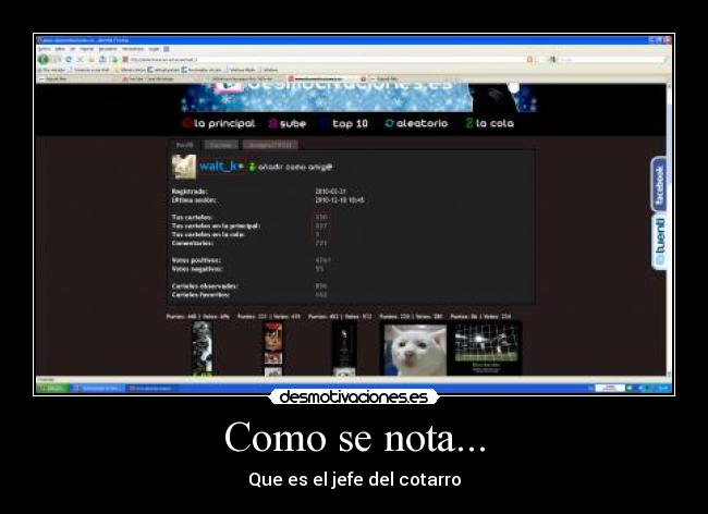 Como se nota... - Que es el jefe del cotarro