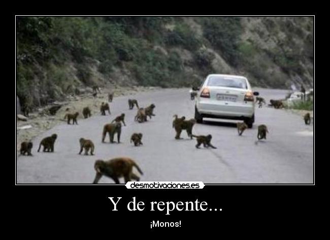 Y de repente... -