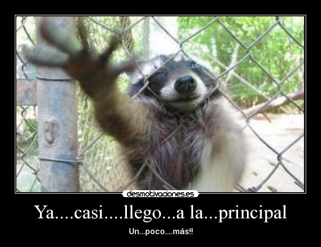 Ya....casi....llego...a la...principal -