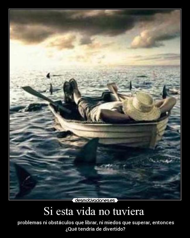 carteles vida esta vida tuviera problemas obstaculos que librar miedos que superar entonces que desmotivaciones