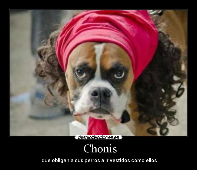 carteles chonis  perros desmotivaciones