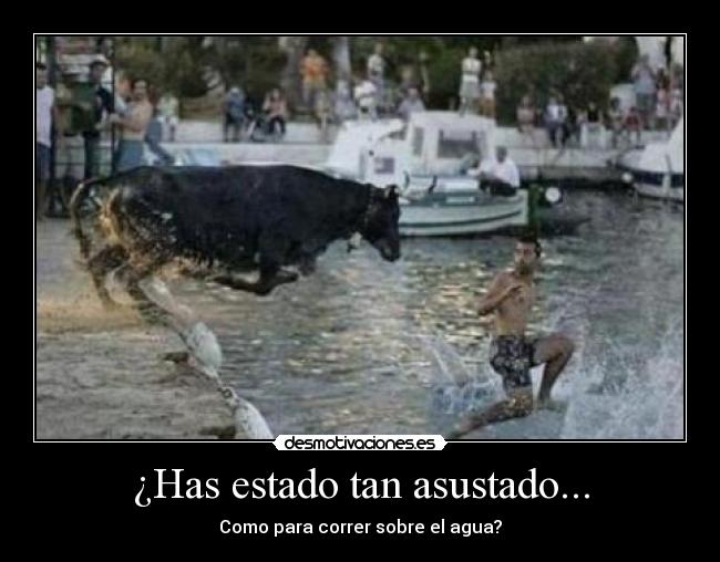 ¿Has estado tan asustado... -