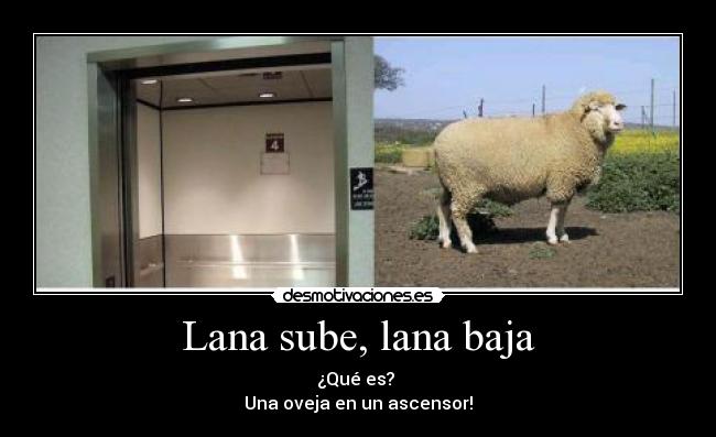 Lana sube, lana baja - 
