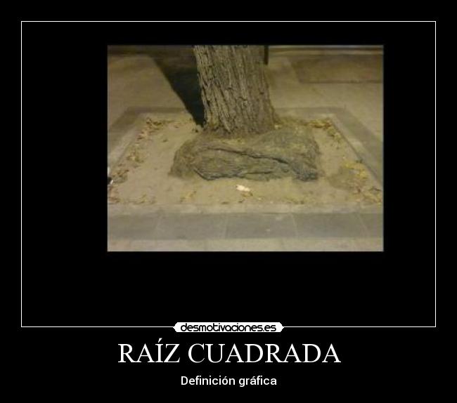 RAÍZ CUADRADA - Definición gráfica