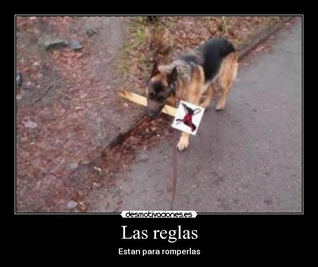Las reglas - Estan para romperlas