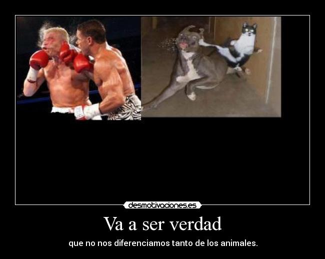 Va a ser verdad - que no nos diferenciamos tanto de los animales.