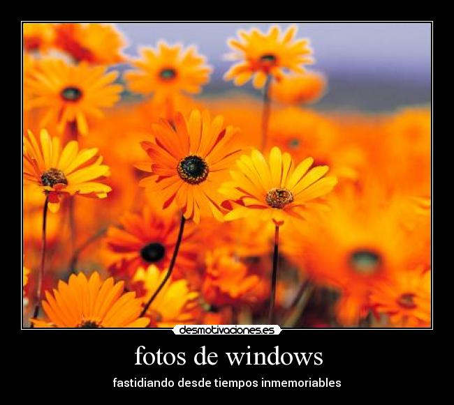 fotos de windows - fastidiando desde tiempos inmemoriables