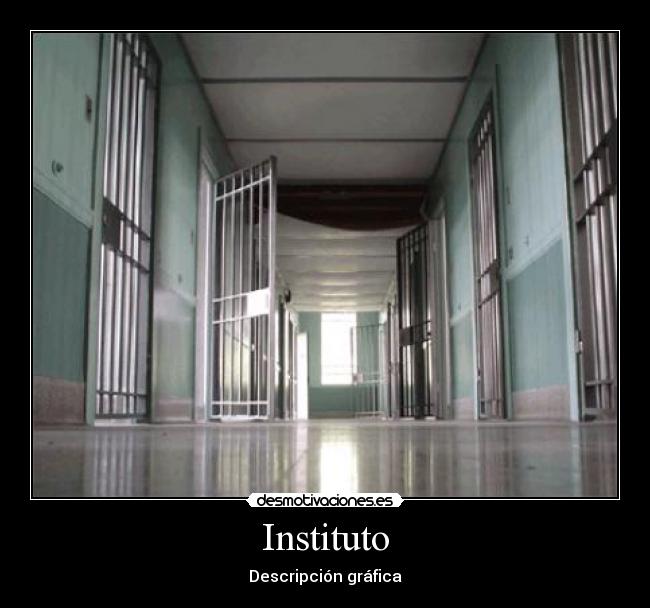 Instituto - Descripción gráfica
