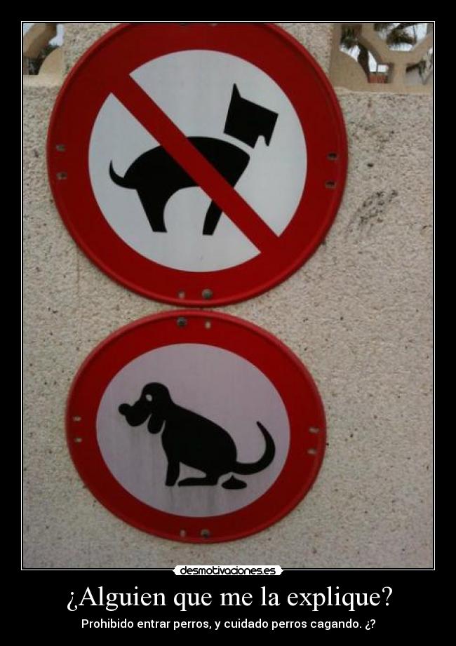 ¿Alguien que me la explique? -