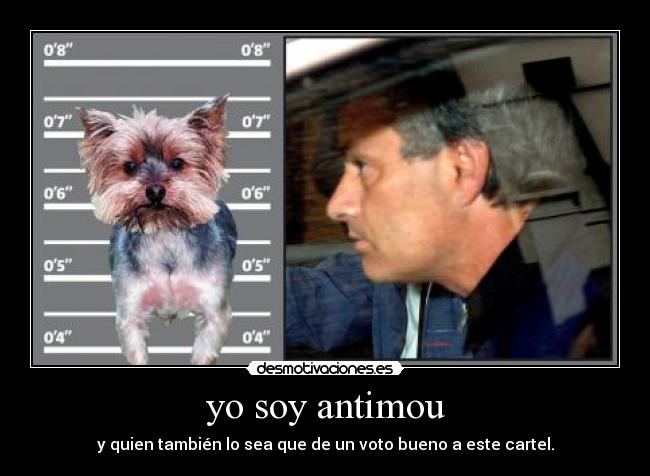 yo soy antimou - 