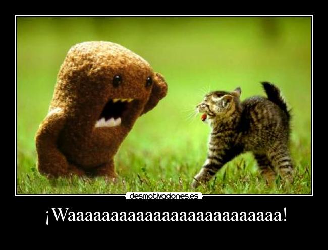 ¡Waaaaaaaaaaaaaaaaaaaaaaaaa! - 