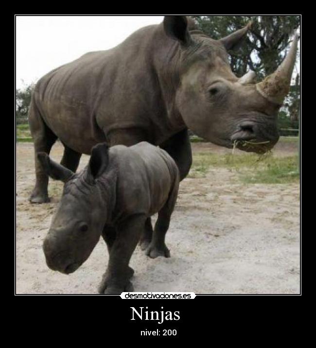 carteles tu como ves desmotivaciones