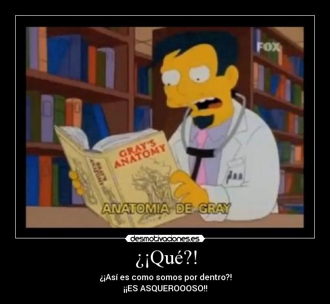 carteles dr nick los simpsons desmotivaciones