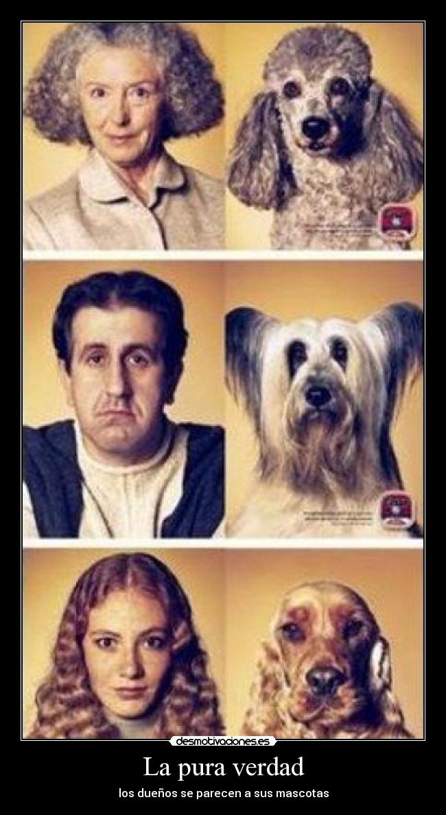 La pura verdad - los dueños se parecen a sus mascotas