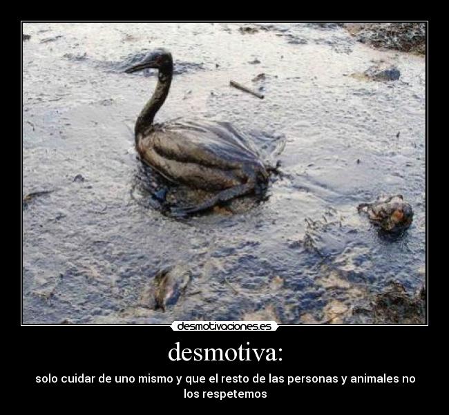 desmotiva: - solo cuidar de uno mismo y que el resto de las personas y animales no
los respetemos