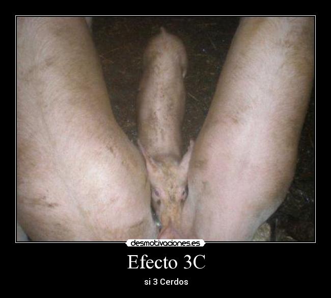 Efecto 3C -