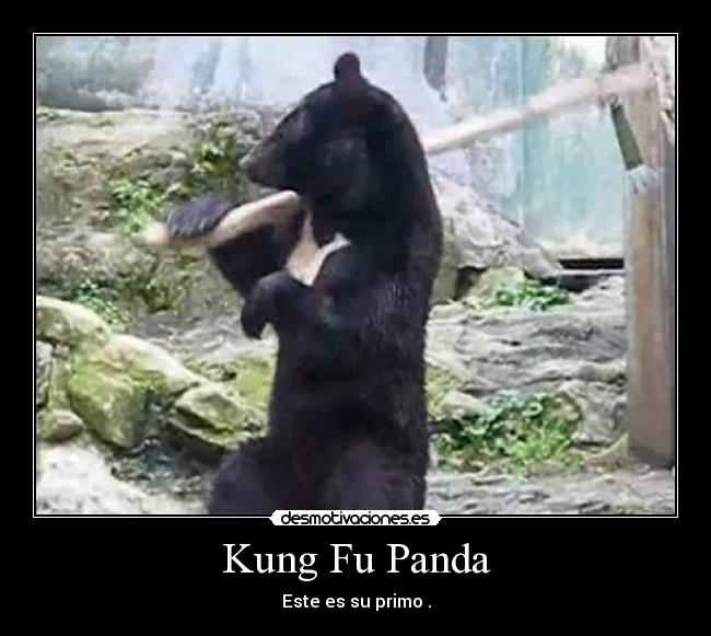 carteles kunf panda primo desmotivaciones
