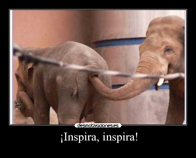 ¡Inspira, inspira! - 