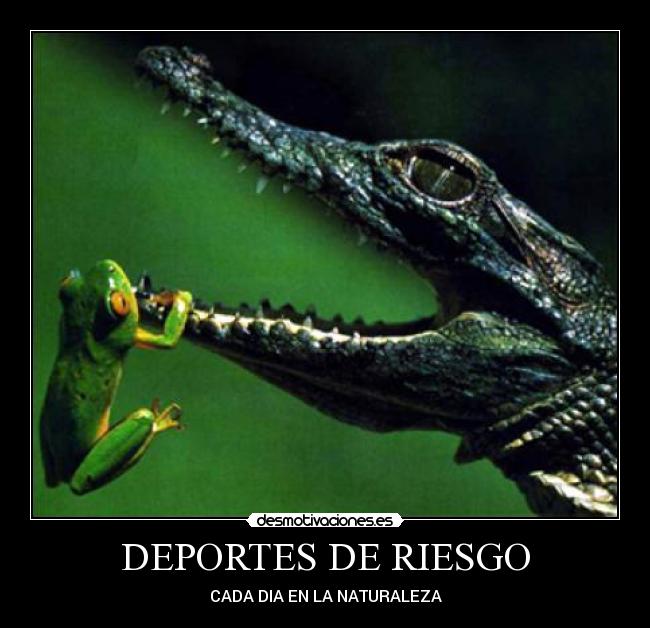carteles deportes - desmotivaciones