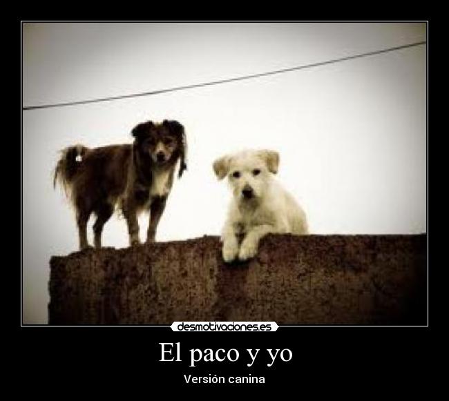 El paco y yo - 