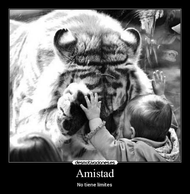 Amistad -