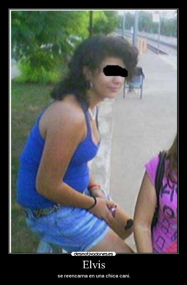 Elvis - se reencarna en una chica cani.