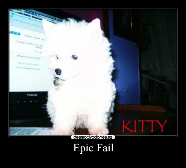 carteles fail perro kittygatito desmotivaciones