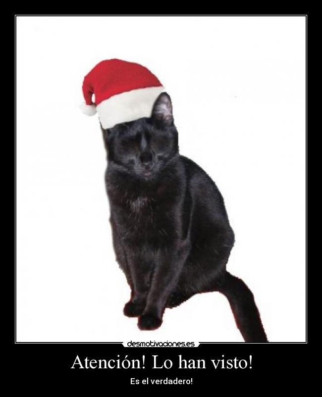 carteles qwertyuiopasdfghjklnzxcvbnm desmotivaciones