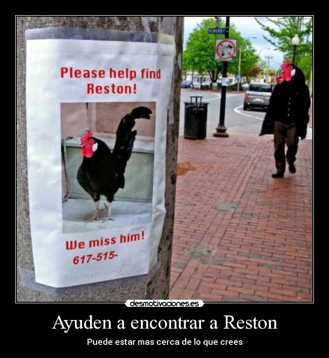 Ayuden a encontrar a Reston - Puede estar mas cerca de lo que crees