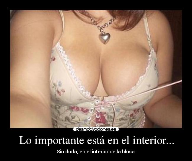 Lo importante está en el interior... - Sin duda, en el interior de la blusa.