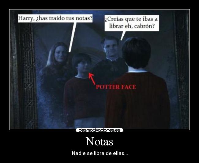 carteles harry potter notas padre madre espejo oesed potter face fantasmas fail desmotivaciones