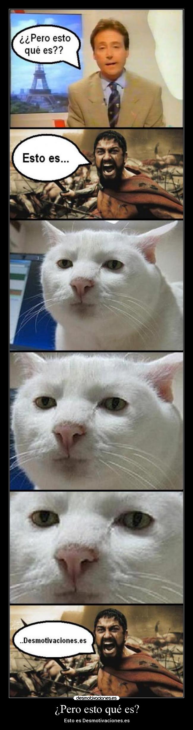 ¿Pero esto qué es? - Esto es Desmotivaciones.es