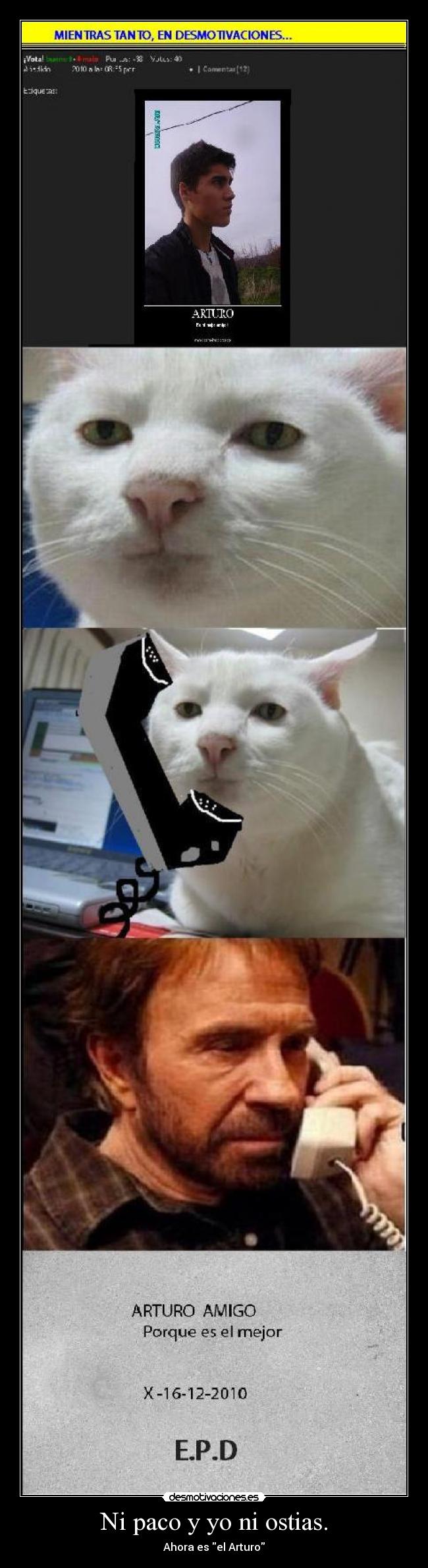 carteles arturo paco yo paco desmotivacioneschuck norris desmotivaciones