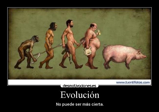 Evolución -