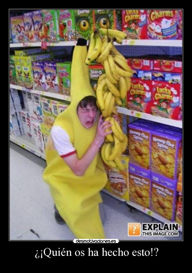 ¿¡Quién os ha hecho esto!? - 