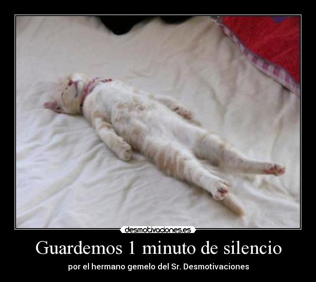 Guardemos 1 minuto de silencio - por el hermano gemelo del Sr. Desmotivaciones