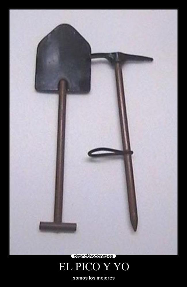 EL PICO Y YO - 