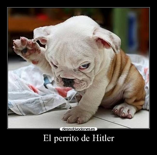 El perrito de Hitler - 