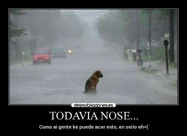 TODAVIA NOSE... - Como ai gente ke puede acer esto, en serio eh=(