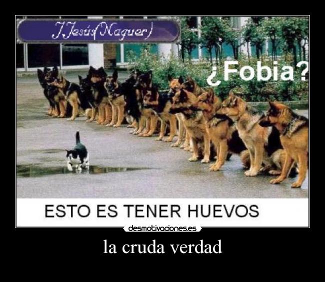 la cruda verdad - 